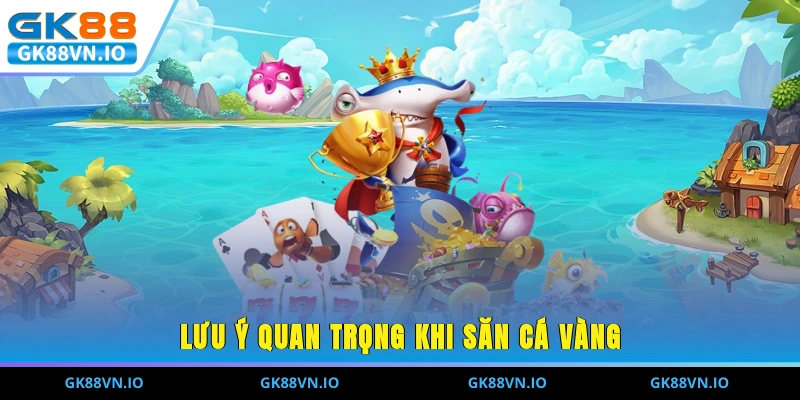 Lưu ý quan trọng khi săn cá vàng ở nhà cái