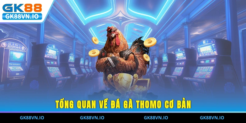 Tổng quan về đá gà Thomo cơ bản